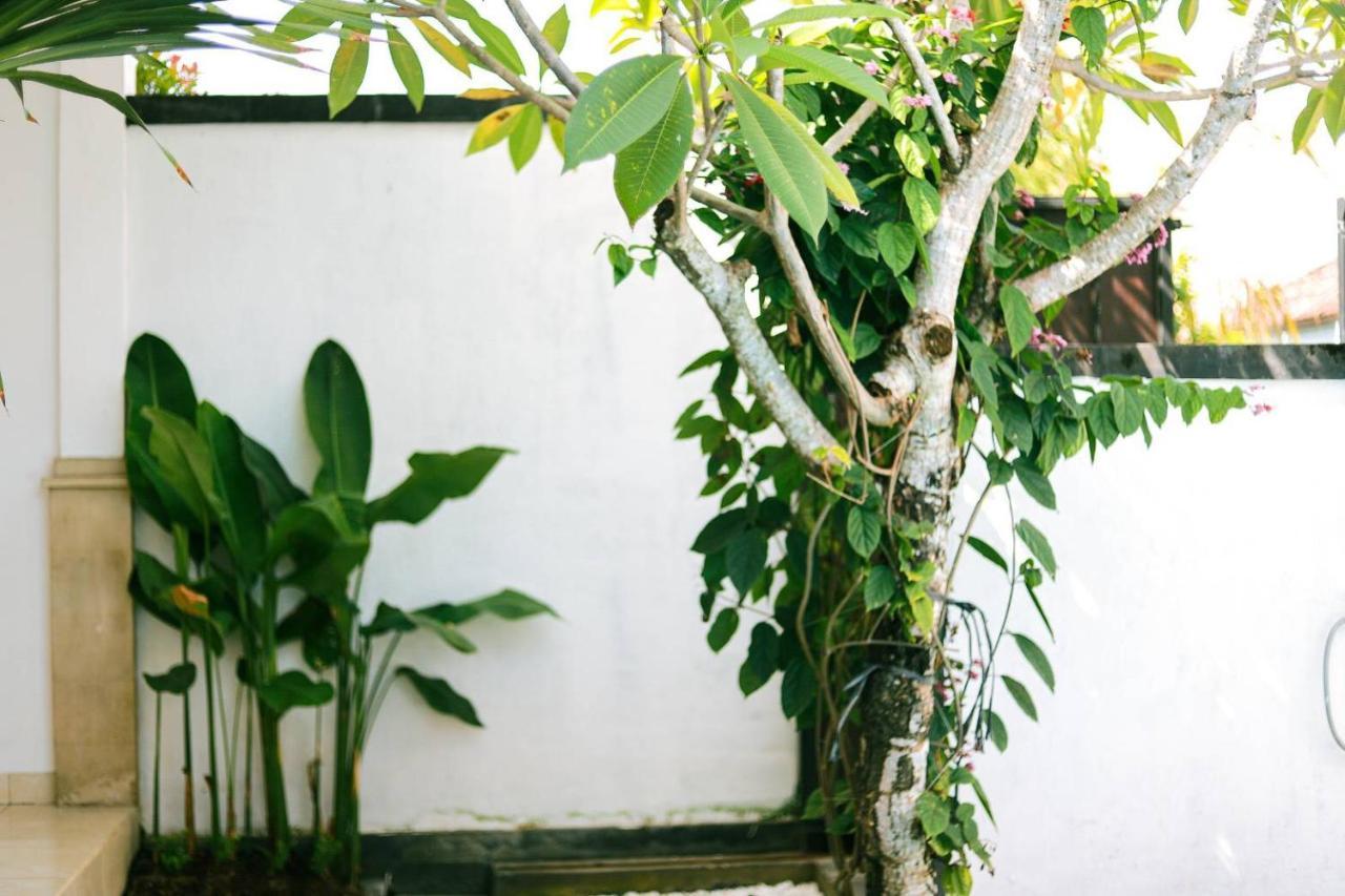 Adi Guest House Canggu  Luaran gambar